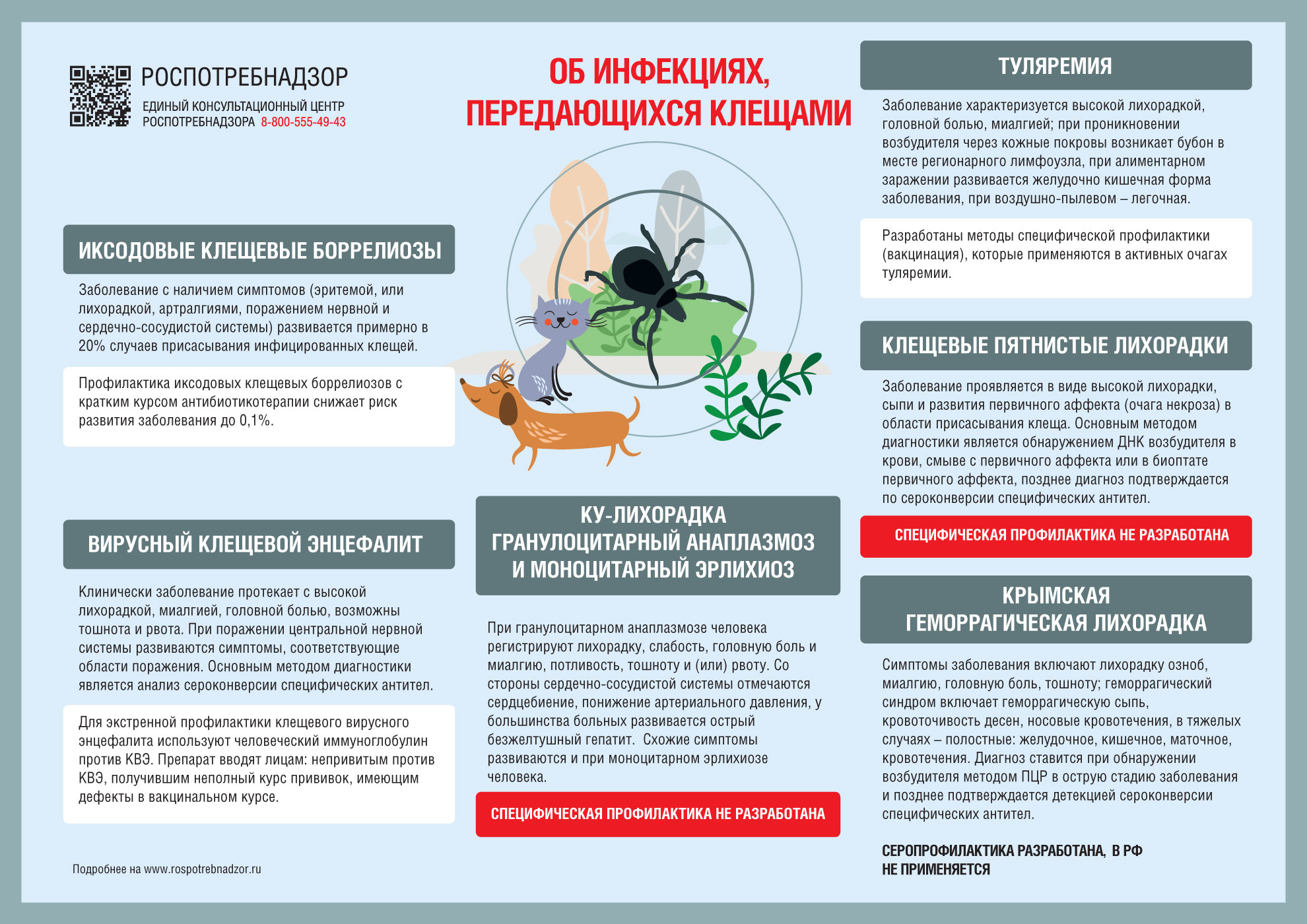 Организация охраны здоровья учеников.